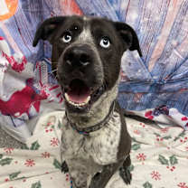 Thumbnail photo of Tucker #1