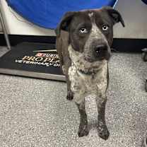 Thumbnail photo of Tucker #2