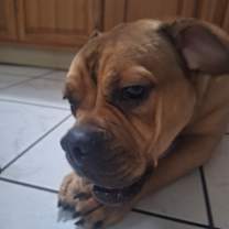 Thumbnail photo of Scarlett #1