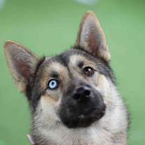 Thumbnail photo of Greta #3