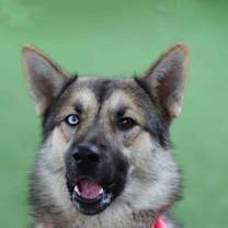 Thumbnail photo of Greta #4