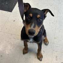 Thumbnail photo of 59464388 #1