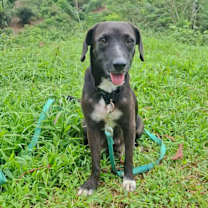 Thumbnail photo of Annie #1