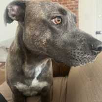 Thumbnail photo of Tank #1