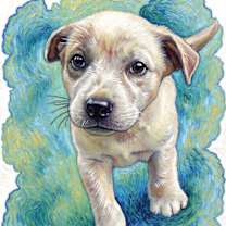 Thumbnail photo of Precious #1