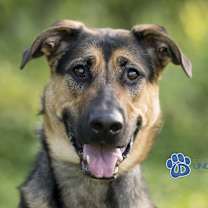 Thumbnail photo of Teylu #1