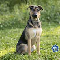 Thumbnail photo of Teylu #2