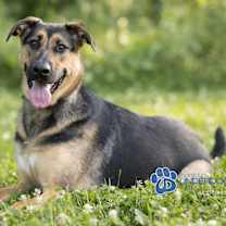 Thumbnail photo of Teylu #3