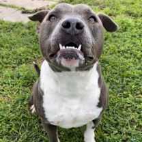 Thumbnail photo of Jupiter #1