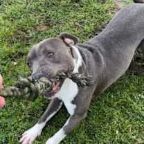 Thumbnail photo of Jupiter #2