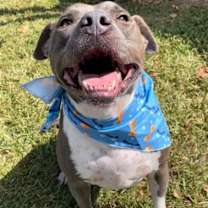 Thumbnail photo of Jupiter #4