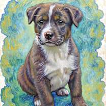 Thumbnail photo of Bo #1