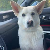 Thumbnail photo of Logan #1