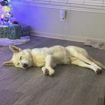 Thumbnail photo of Logan #2