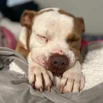 Thumbnail photo of Lawrence #1