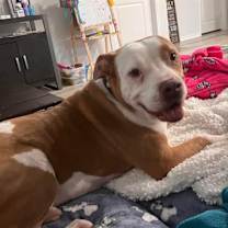 Thumbnail photo of Lawrence #2