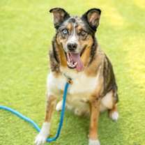 Thumbnail photo of BEANS #1