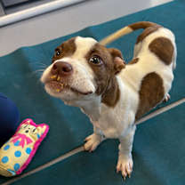 Thumbnail photo of STEPHEN #3