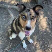 Thumbnail photo of BEANS #3