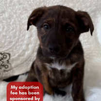 Thumbnail photo of Rig #1