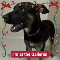 Thumbnail photo of Doodle #1