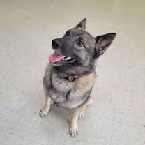 Thumbnail photo of Kobe #2