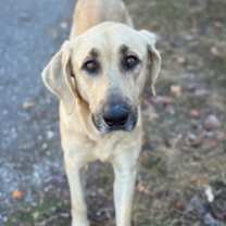 Thumbnail photo of Hilda #3