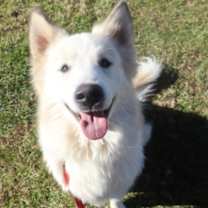 Thumbnail photo of Olaf #1