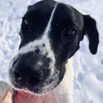 Thumbnail photo of Layla #1