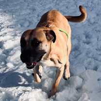 Thumbnail photo of Montana #1