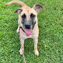 Thumbnail photo of Montana #3