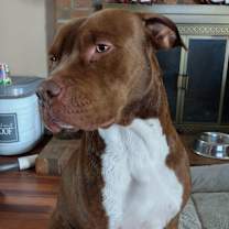 Thumbnail photo of Alux #2