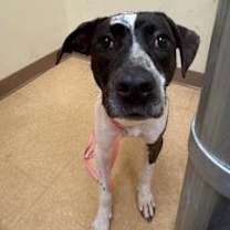 Thumbnail photo of Lena #1