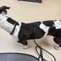 Thumbnail photo of Lena #2