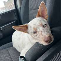 Thumbnail photo of Zero! #1