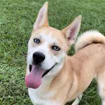 Thumbnail photo of Taz #3