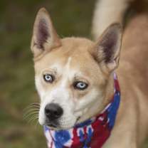 Thumbnail photo of Taz #4