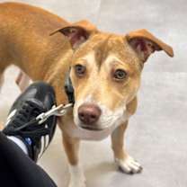 Thumbnail photo of Francis #2