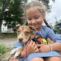 Thumbnail photo of Francis #3