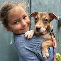 Thumbnail photo of Francis #4