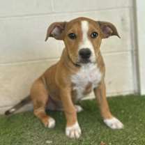 Thumbnail photo of Alice 0610 #1