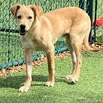 Thumbnail photo of Kai #3