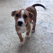 Thumbnail photo of Alice 0610 #3