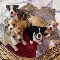 Thumbnail photo of Tana #2