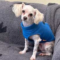 Thumbnail photo of Yule #2