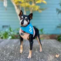 Thumbnail photo of Dorothy #3