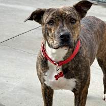 Thumbnail photo of Peyton #2