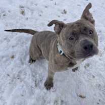 Thumbnail photo of Polly #3