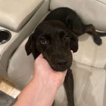 Thumbnail photo of Dolly #2