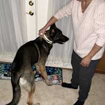 Thumbnail photo of Dave #2